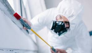 Best Residential Pest Control  in Bright, IN